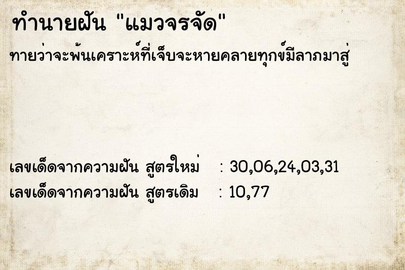 ทำนายฝัน แมวจรจัด ทำนายฝัน แมวจรจัด