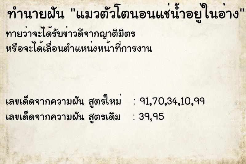 ทำนายฝัน แมวตัวโตนอนแช่น้ำอยู่ในอ่าง ทำนายฝัน แมวตัวโตนอนแช่น้ำอยู่ในอ่าง