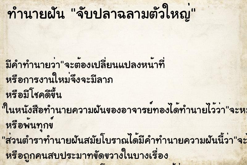 ทำนายฝันจับปลาฉลามตัวใหญ่ ทำนายฝันทำนายฝันจับปลาฉลามตัวใหญ่