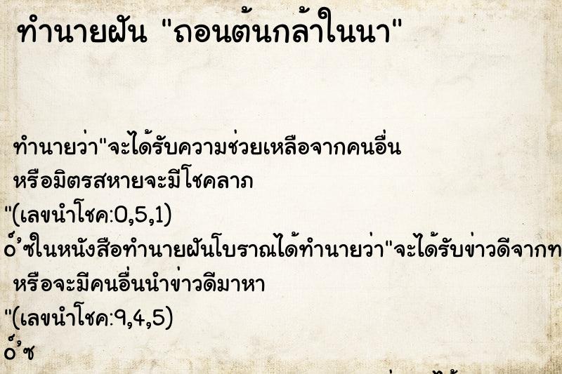 ทำนายฝัน ถอนต้นกล้าในนา ตำราโบราณ แม่นที่สุดในโลก