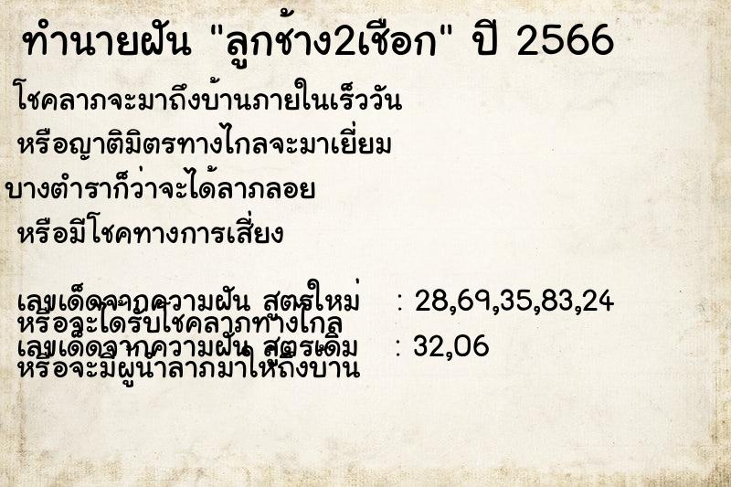 ทำนายฝัน ลูกช้าง2เชือก ทำนายฝัน ลูกช้าง2เชือก