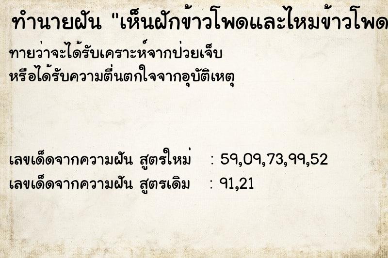 ทำนายฝันเห็นฝักข้าวโพดและไหมข้าวโพด ทำนายฝันทำนายฝันเห็นฝักข้าวโพดและไหมข้าวโพด