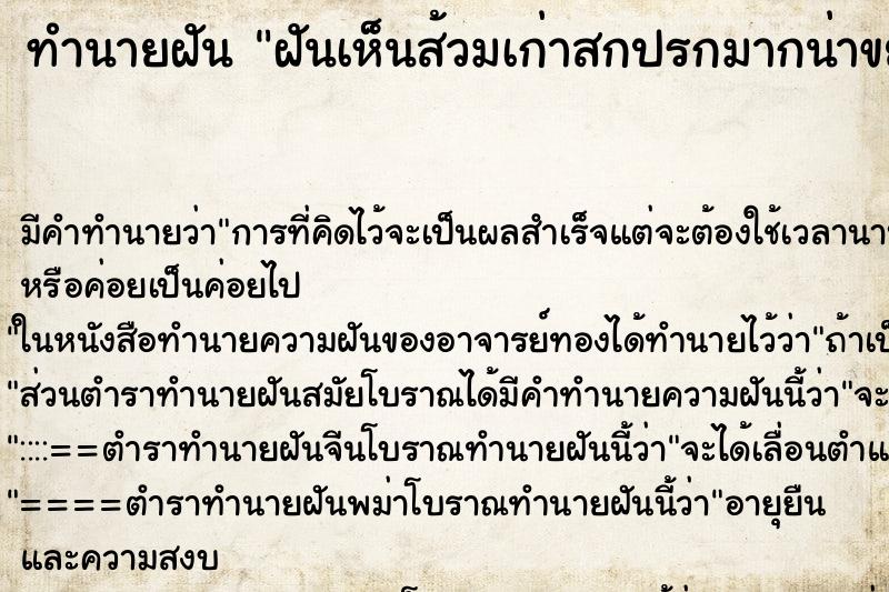 ทำนายฝันทำนายฝันฝันเห็นส้วมเก่าสกปรกมากน่าขยะแขยง