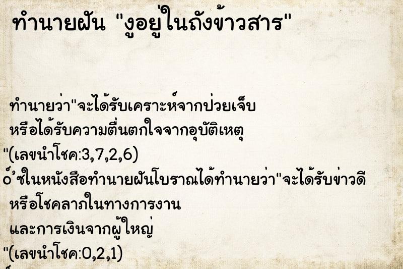 ทำนายฝัน งูอยู่ในถังข้าวสาร ตำราโบราณ แม่นที่สุดในโลก