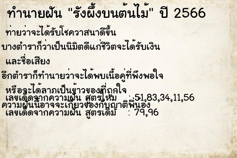 ทำนายฝัน รังผึ้งบนต้นไม้ ทำนายฝัน รังผึ้งบนต้นไม้