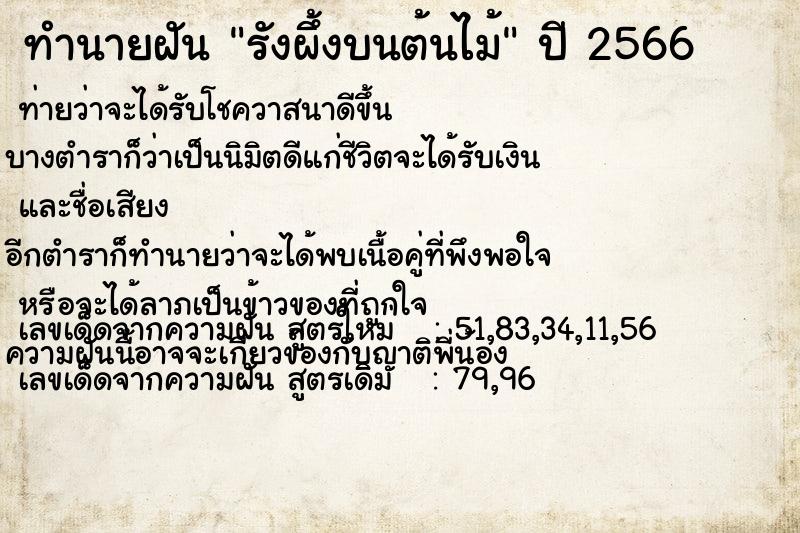 ทำนายฝัน รังผึ้งบนต้นไม้ ตำราโบราณ แม่นที่สุดในโลก