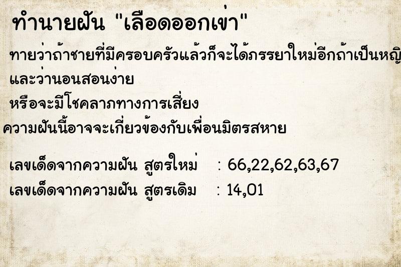 ทำนายฝันเลือดออกเข่า ทำนายฝันทำนายฝันเลือดออกเข่า