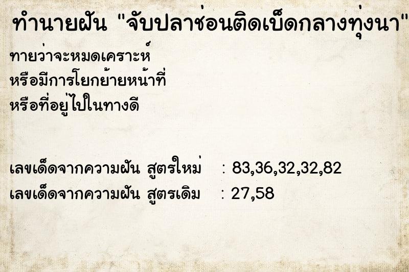 ทำนายฝันทำนายฝันจับปลาช่อนติดเบ็ดกลางทุ่งนา