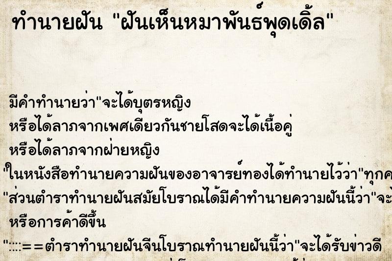 ทำนายฝัน ฝันเห็นหมาพันธ์พุดเดิ้ล