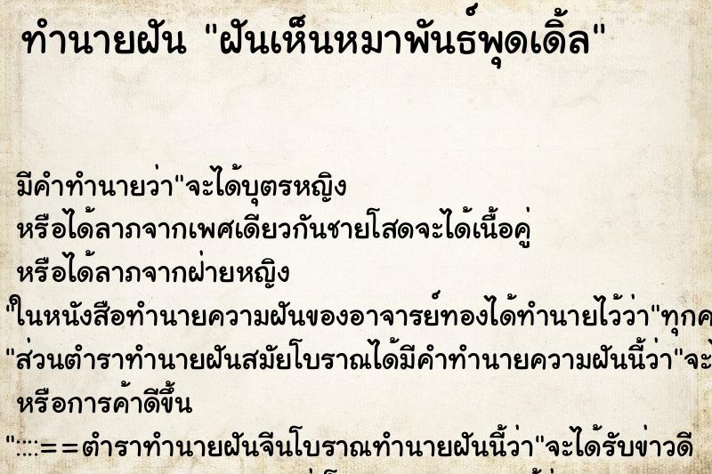 ทำนายฝัน ฝันเห็นหมาพันธ์พุดเดิ้ล ตำราโบราณ แม่นที่สุดในโลก