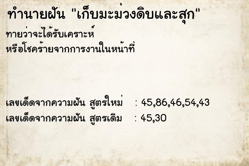 ทำนายฝันเก็บมะม่วงดิบและสุก ทำนายฝันทำนายฝันเก็บมะม่วงดิบและสุก