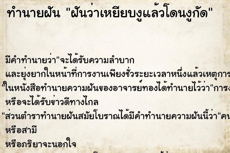 ทำนายฝัน ฝันว่าเหยียบงูแล้วโดนงูกัด ทำนายฝัน ฝันว่าเหยียบงูแล้วโดนงูกัด