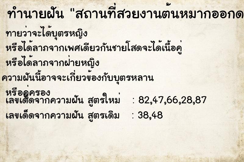 ทำนายฝัน สถานที่สวยงานต้นหมากออกดอก ทำนายฝัน สถานที่สวยงานต้นหมากออกดอก