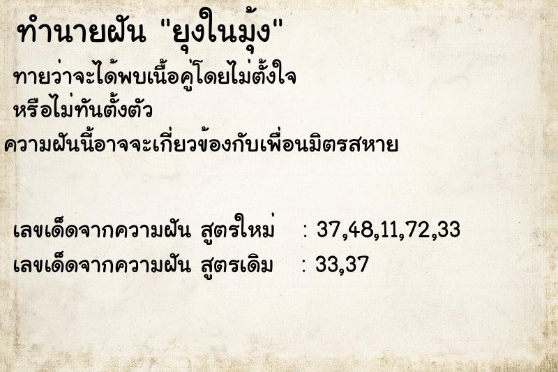 ทำนายฝันยุงในมุ้ง ทำนายฝันทำนายฝันยุงในมุ้ง