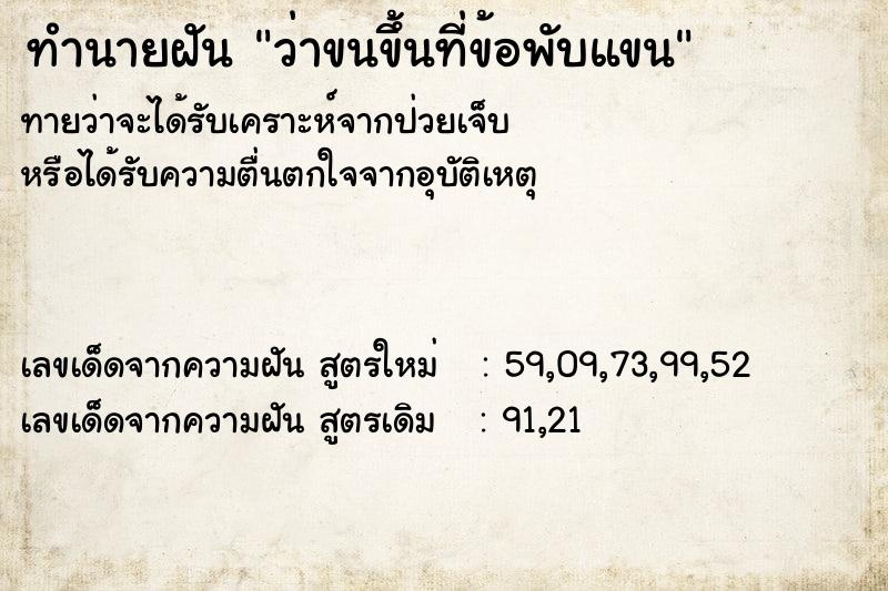 ทำนายฝันว่าขนขึ้นที่ข้อพับแขน ทำนายฝันทำนายฝันว่าขนขึ้นที่ข้อพับแขน