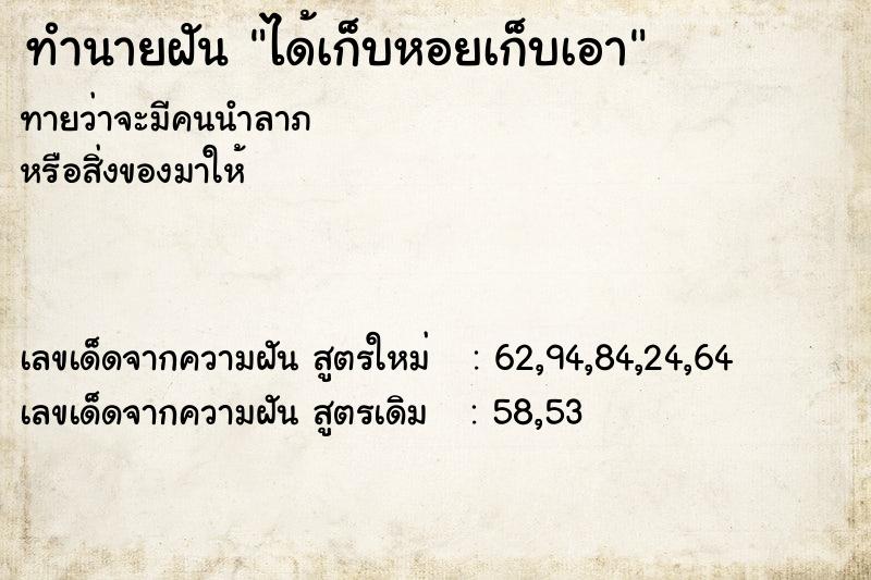 ทำนายฝันได้เก็บหอยเก็บเอา ทำนายฝันทำนายฝันได้เก็บหอยเก็บเอา