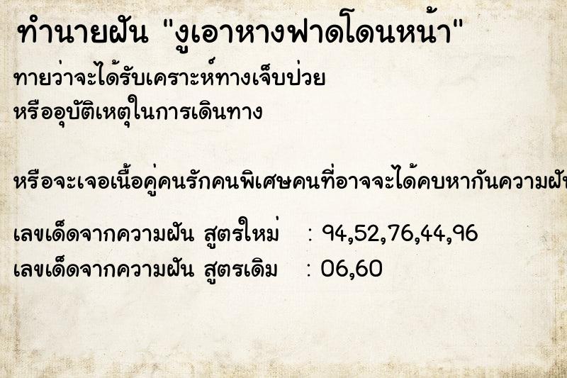 ทำนายฝัน งูเอาหางฟาดโดนหน้า ทำนายฝัน งูเอาหางฟาดโดนหน้า