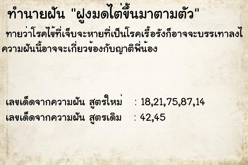 ทำนายฝันทำนายฝันฝูงมดไต่ขึ้นมาตามตัว