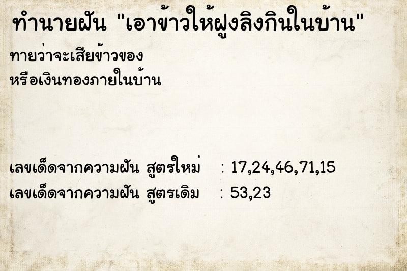 ทำนายฝันทำนายฝันเอาข้าวให้ฝูงลิงกินในบ้าน