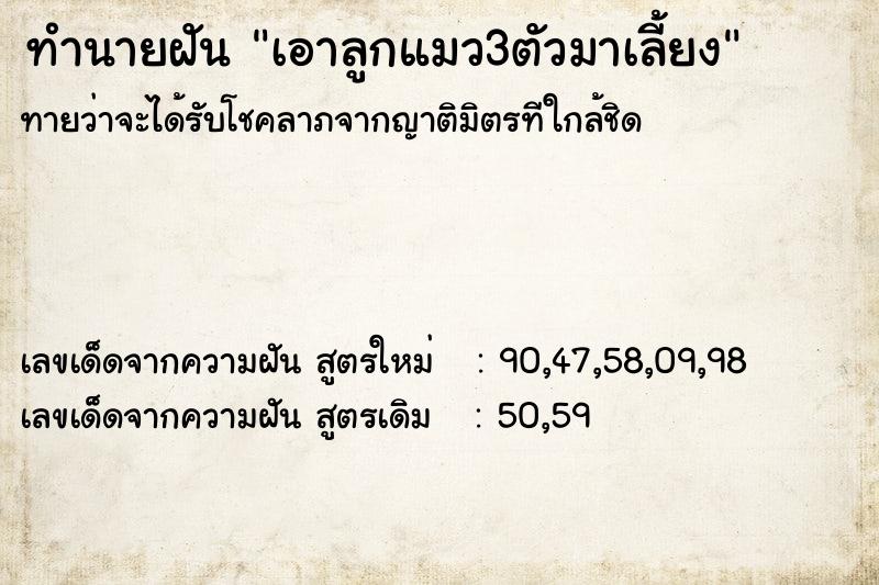 ทำนายฝัน เอาลูกแมว3ตัวมาเลี้ยง ทำนายฝัน เอาลูกแมว3ตัวมาเลี้ยง