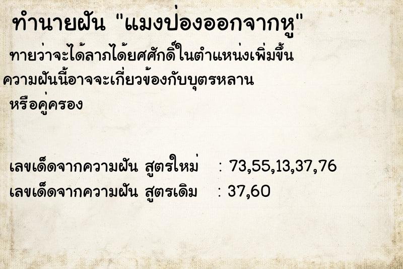 ทำนายฝันแมงป่องออกจากหู ทำนายฝันทำนายฝันแมงป่องออกจากหู