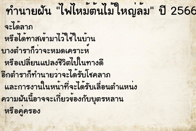 ทำนายฝันไฟไหม้ต้นไม้ใหญ่ล้ม ทำนายฝันทำนายฝันไฟไหม้ต้นไม้ใหญ่ล้ม