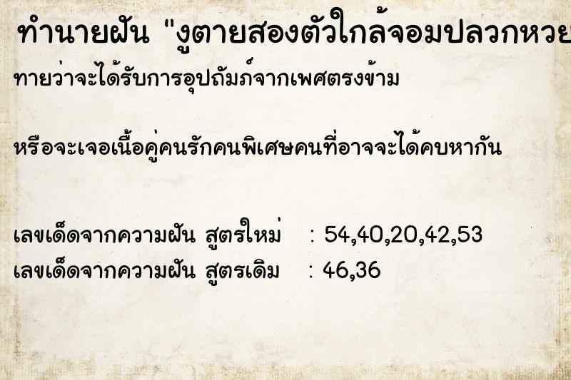 ทำนายฝัน งูตายสองตัวใกล้จอมปลวกหวย,หวย ทำนายฝัน งูตายสองตัวใกล้จอมปลวกหวย,หวย