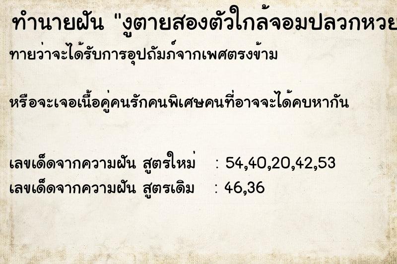 ทำนายฝัน งูตายสองตัวใกล้จอมปลวกหวย,หวย ตำราโบราณ แม่นที่สุดในโลก