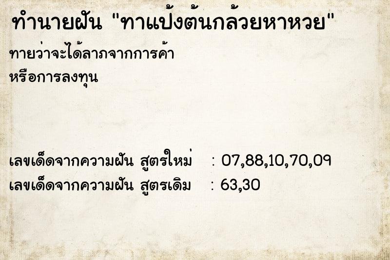 ทำนายฝันทาแป้งต้นกล้วยหาหวย ทำนายฝันทำนายฝันทาแป้งต้นกล้วยหาหวย