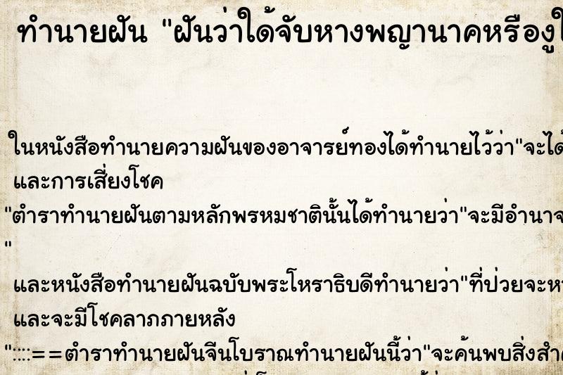 ทำนายฝันทำนายฝันฝันว่าใด้จับหางพญานาคหรืองูใหญ่