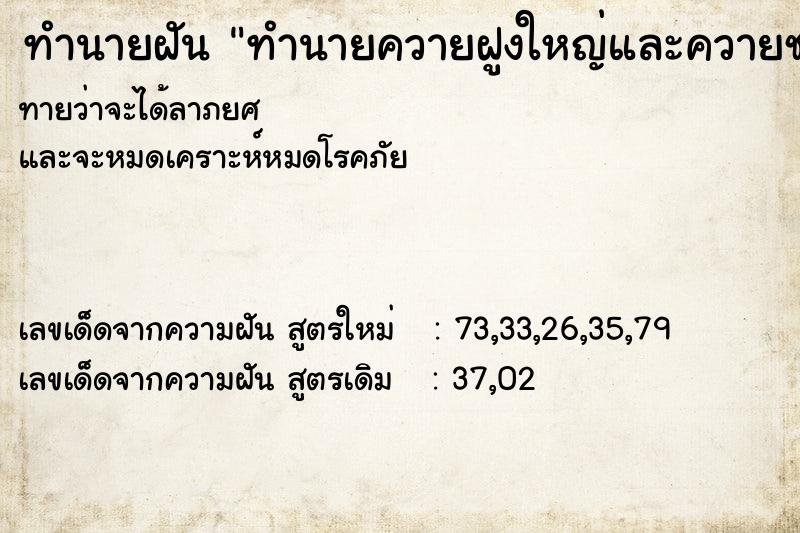 ทำนายฝันทำนายควายฝูงใหญ่และควายชนกัน ทำนายฝันทำนายฝันทำนายควายฝูงใหญ่และควายชนกัน