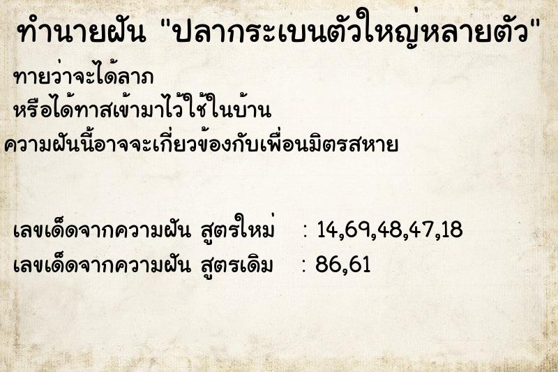 ทำนายฝันปลากระเบนตัวใหญ่หลายตัว ทำนายฝันทำนายฝันปลากระเบนตัวใหญ่หลายตัว