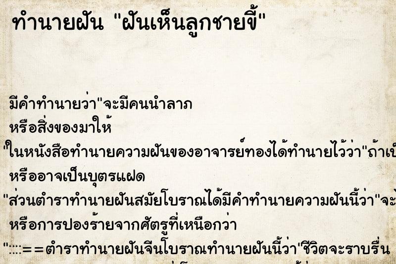 ทำนายฝัน ฝันเห็นลูกชายขี้ ทำนายฝัน ฝันเห็นลูกชายขี้