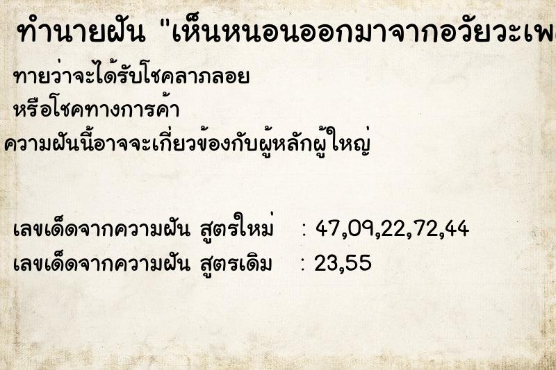 ทำนายฝันเห็นหนอนออกมาจากอวัยวะเพศ ทำนายฝันทำนายฝันเห็นหนอนออกมาจากอวัยวะเพศ