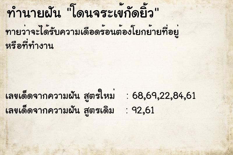 ทำนายฝันโดนจระเข้กัดยิ้ว ทำนายฝันทำนายฝันโดนจระเข้กัดยิ้ว