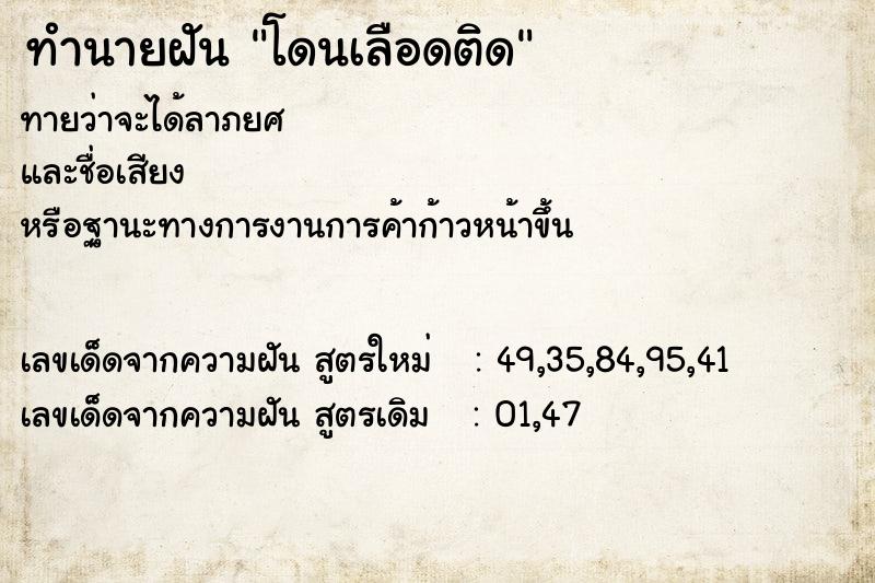 ทำนายฝันโดนเลือดติด ทำนายฝันทำนายฝันโดนเลือดติด