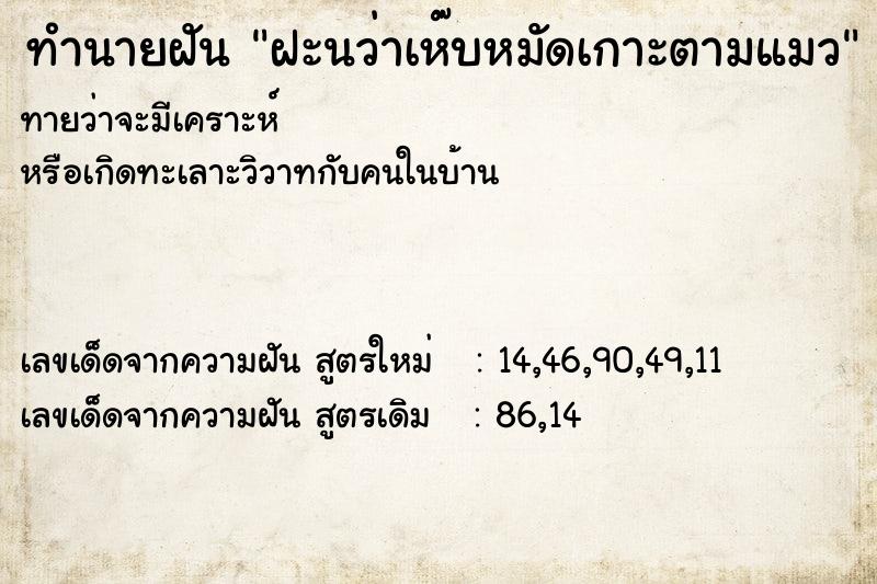 ทำนายฝันทำนายฝันฝะนว่าเห๊บหมัดเกาะตามแมว