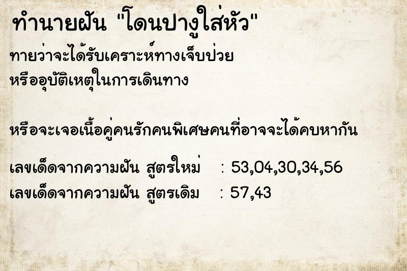 ทำนายฝันโดนปางูใส่หัว ทำนายฝันทำนายฝันโดนปางูใส่หัว