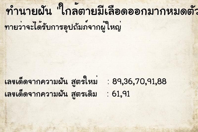ทำนายฝันทำนายฝันใกล้ตายมีเลือดออกมากหมดตัว