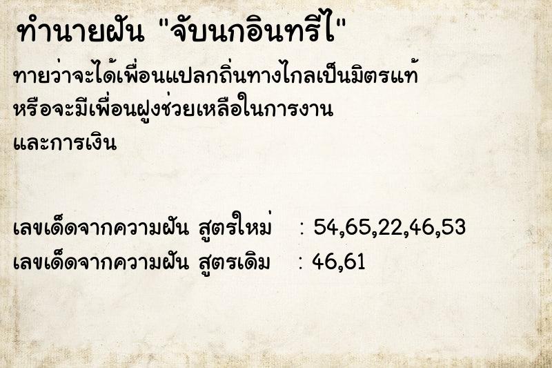 ทำนายฝันทำนายฝันจับนกอินทรีไ