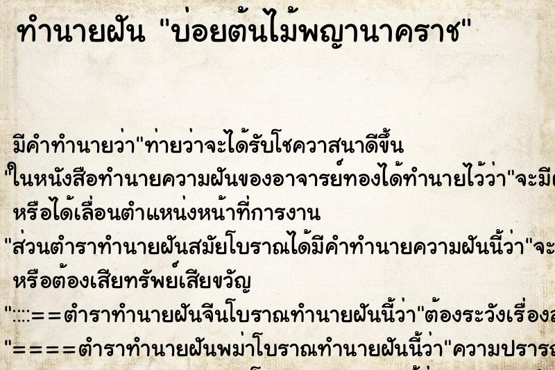 ทำนายฝันบ่อยต้นไม้พญานาคราช ทำนายฝันทำนายฝันบ่อยต้นไม้พญานาคราช