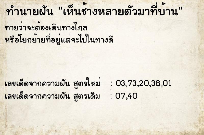 ทำนายฝันเห็นช้างหลายตัวมาที่บ้าน ทำนายฝันทำนายฝันเห็นช้างหลายตัวมาที่บ้าน