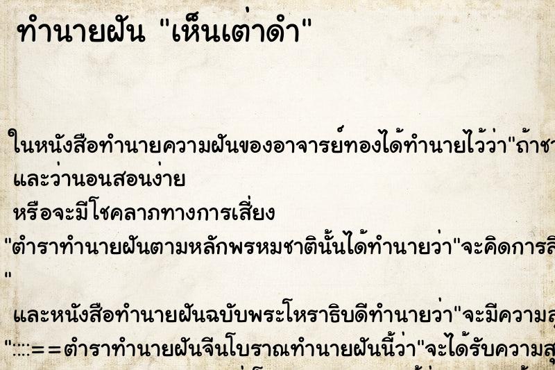 ทำนายฝันเห็นเต่าดำ ทำนายฝันทำนายฝันเห็นเต่าดำ
