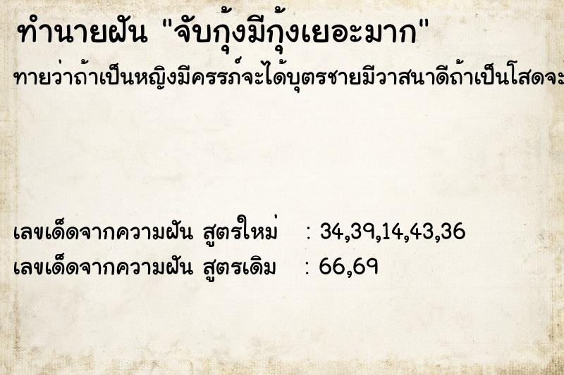 ทำนายฝันทำนายฝันจับกุ้งมีกุ้งเยอะมาก