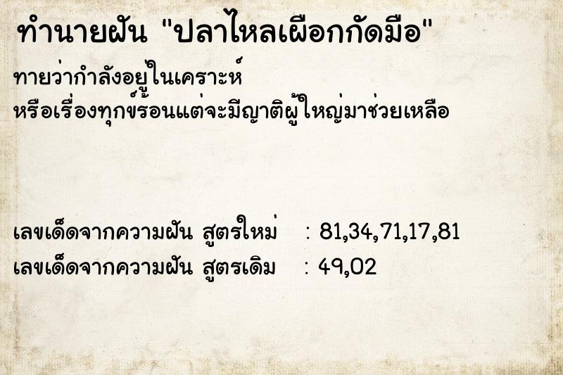 ทำนายฝัน ปลาไหลเผือกกัดมือ ทำนายฝัน ปลาไหลเผือกกัดมือ