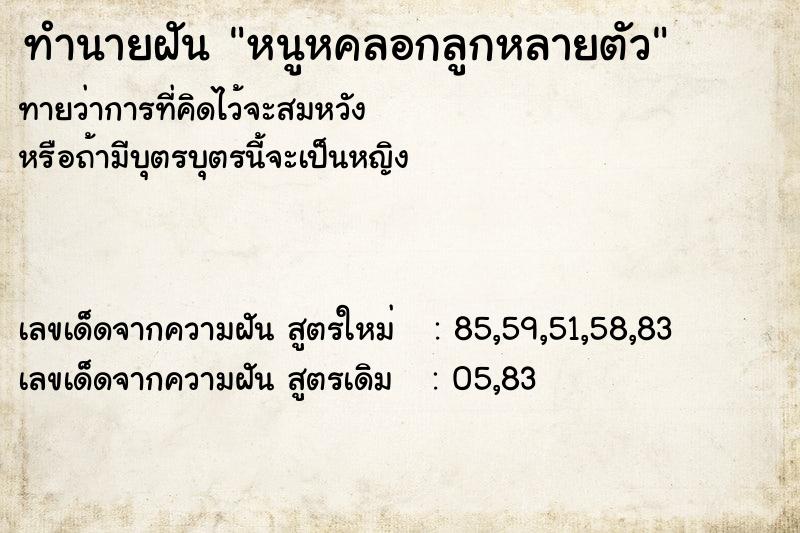 ทำนายฝัน หนูหคลอกลูกหลายตัว ทำนายฝัน หนูหคลอกลูกหลายตัว