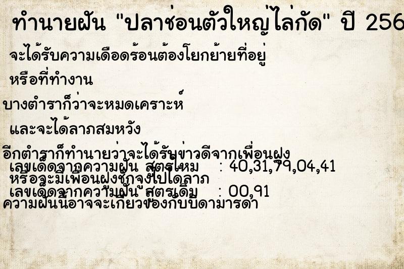 ทำนายฝันทำนายฝันปลาช่อนตัวใหญ่ไล่กัด