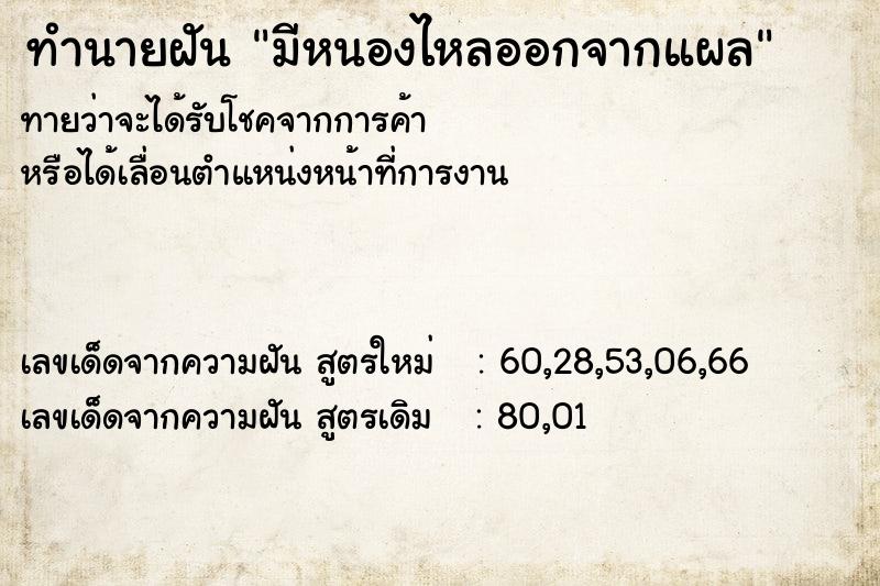 ทำนายฝันมีหนองไหลออกจากแผล ทำนายฝันทำนายฝันมีหนองไหลออกจากแผล
