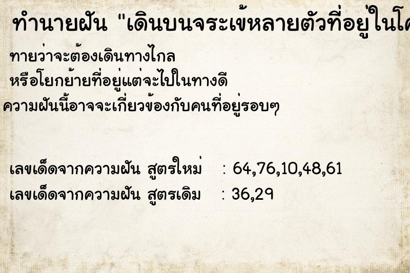 ทำนายฝันเดินบนจระเข้หลายตัวที่อยู่ในโคลน ทำนายฝันทำนายฝันเดินบนจระเข้หลายตัวที่อยู่ในโคลน