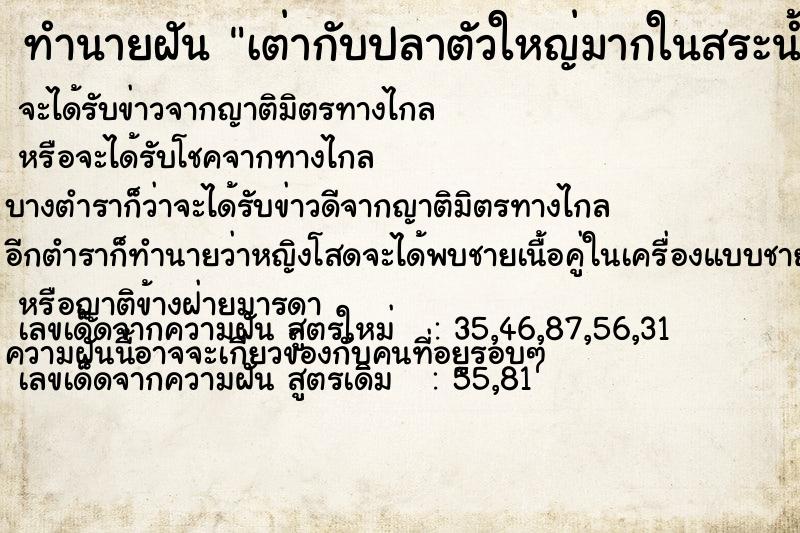 ทำนายฝัน เต่ากับปลาตัวใหญ่มากในสระน้ำ แม่นๆ ฟรี ด้วยตำราหนังสือทำนายฝันโบราณ ทำนายฝันเต่ากับปลาตัวใหญ่มากในสระน้ำ
